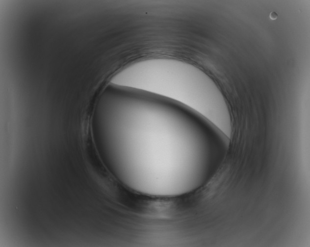 X0000089970168200706291111