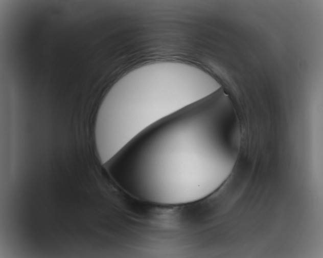 X0000089970170200706291111