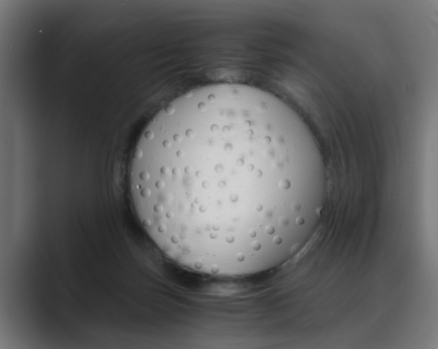 X0000089970171200706291111