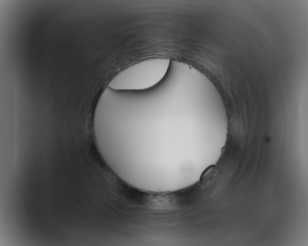 X0000089970181200706291111