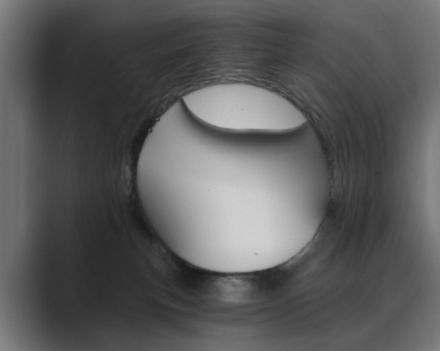 X0000089970183200706291111