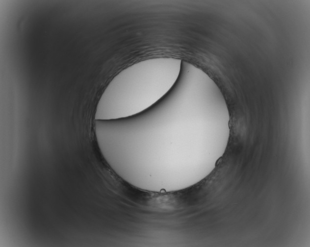 X0000089970185200706291111