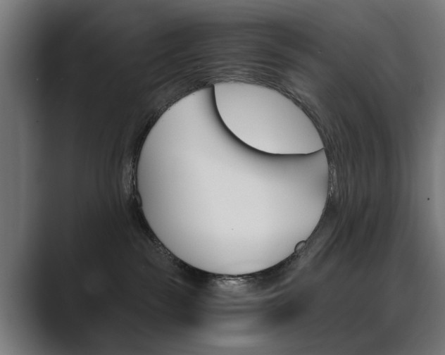 X0000089970189200706291111