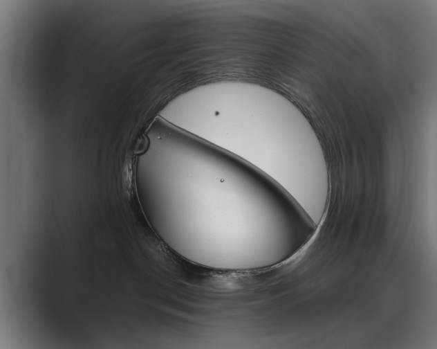 X0000089970190200706291111