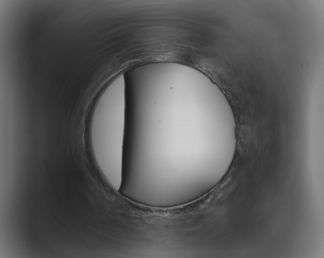 X0000089970194200706291110