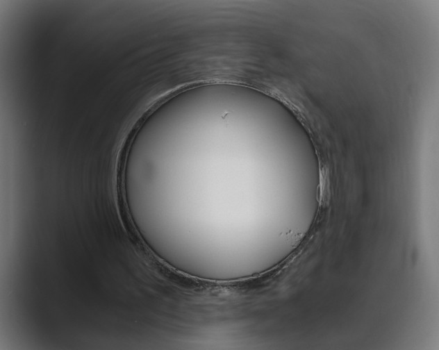 X0000089970195200706291110