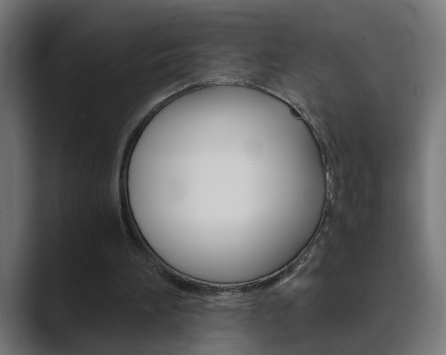 X0000089970196200706291110