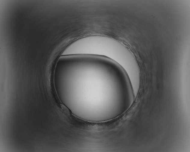 X0000089970197200706291110