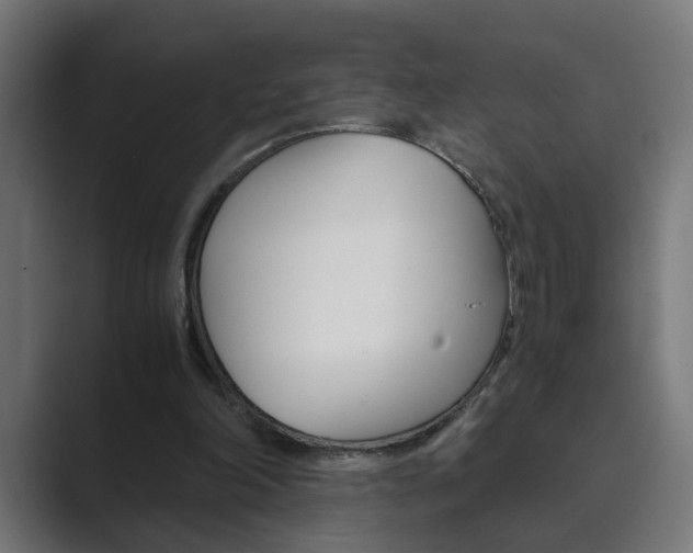 X0000089970198200706291110