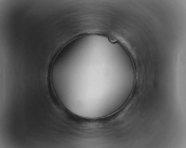 X0000089970201200706291110