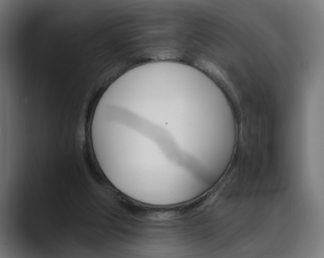 X0000089970202200706291110