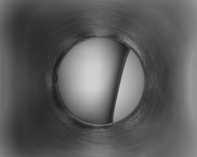 X0000089970203200706291110