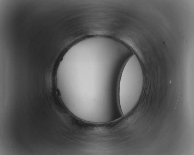 X0000089970204200706291110