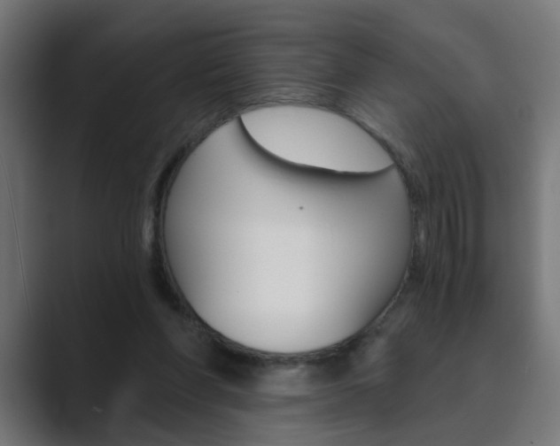 X0000089970206200706291110