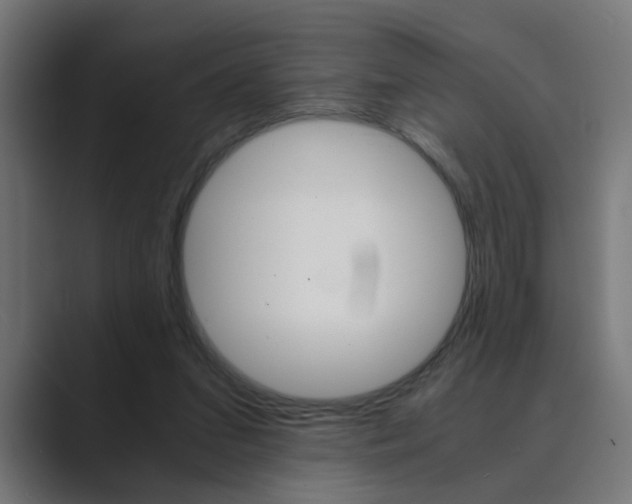 X0000089970207200706291110