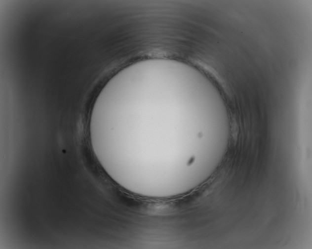 X0000089970208200706291110