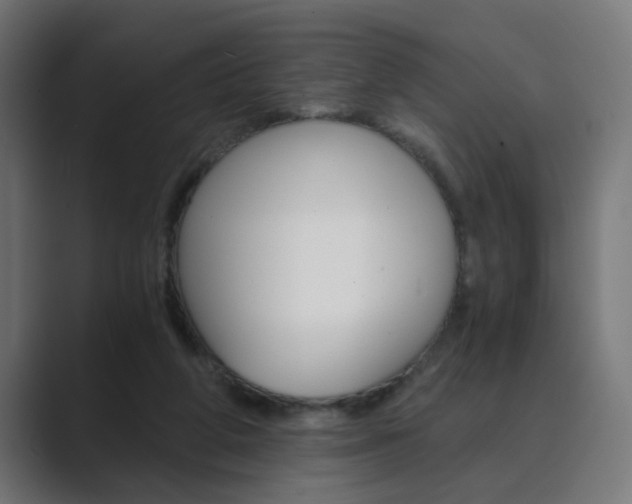 X0000089970210200706291110