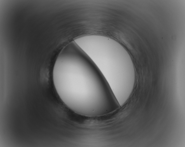 X0000089970211200706291110