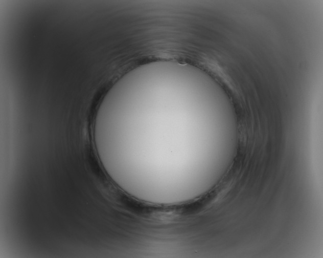 X0000089970213200706291110
