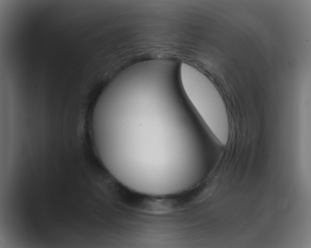 X0000089970221200706291110