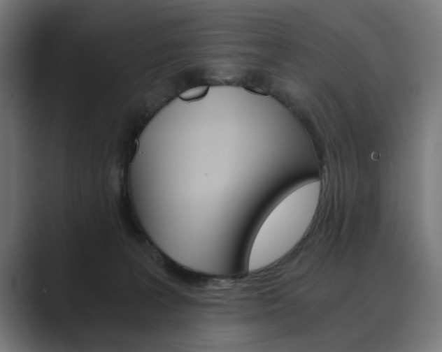 X0000089970227200706291110