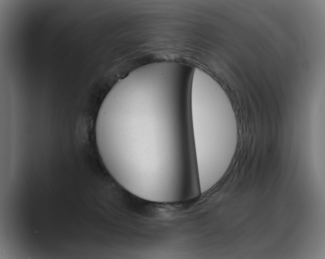 X0000089970229200706291110