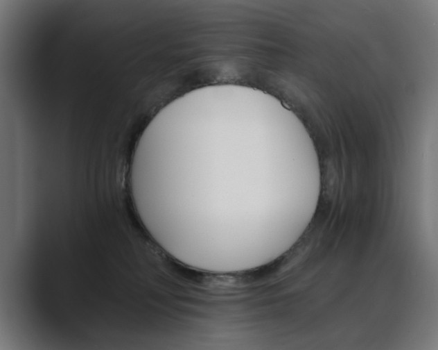 X0000089970230200706291110