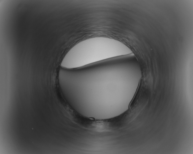X0000089970231200706291110