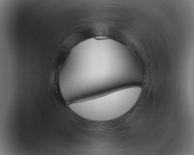 X0000089970233200706291110