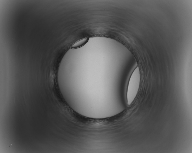 X0000089970235200706291110