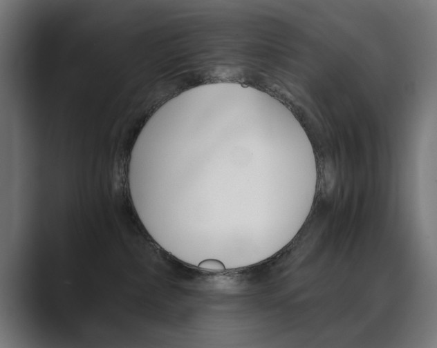 X0000089970236200706291110