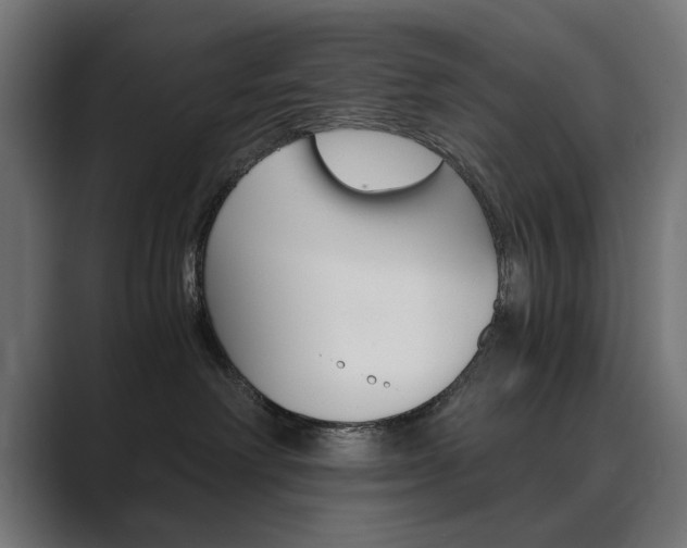 X0000089970238200706291110