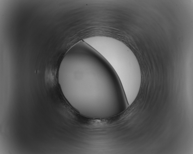 X0000089970239200706291110