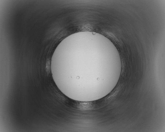 X0000089970240200706291110