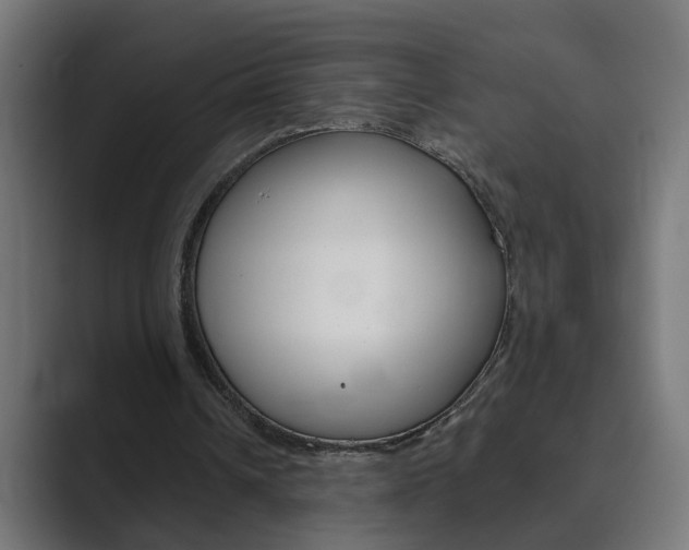 X0000089970242200706291109