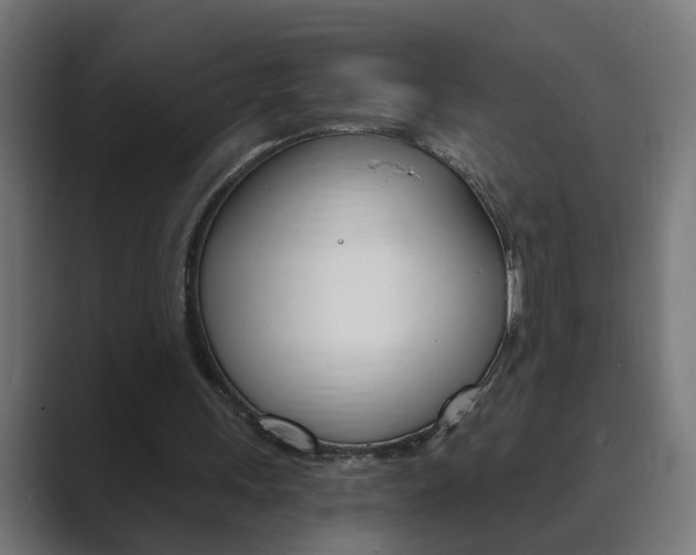 X0000089970243200706291109