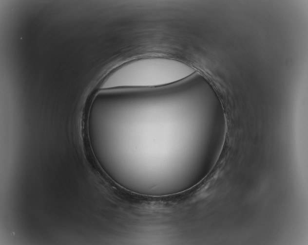 X0000089970244200706291109
