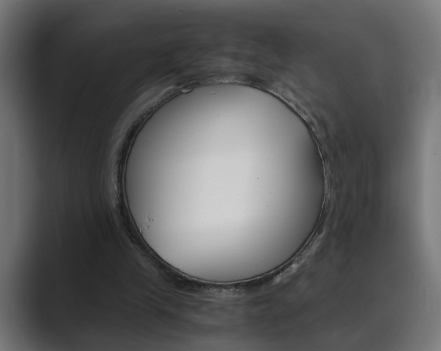 X0000089970245200706291109