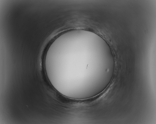 X0000089970246200706291109