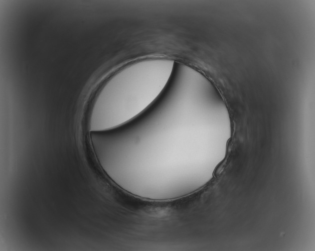 X0000089970247200706291109