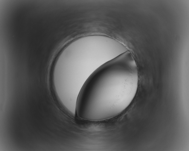 X0000089970248200706291109