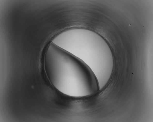 X0000089970252200706291109