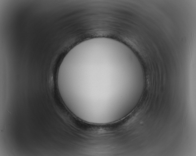 X0000089970254200706291109