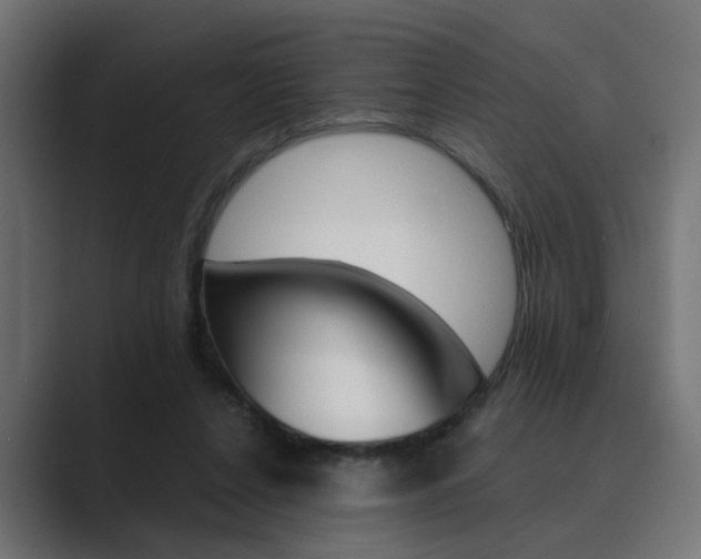 X0000089970256200706291109