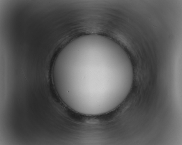X0000089970258200706291110