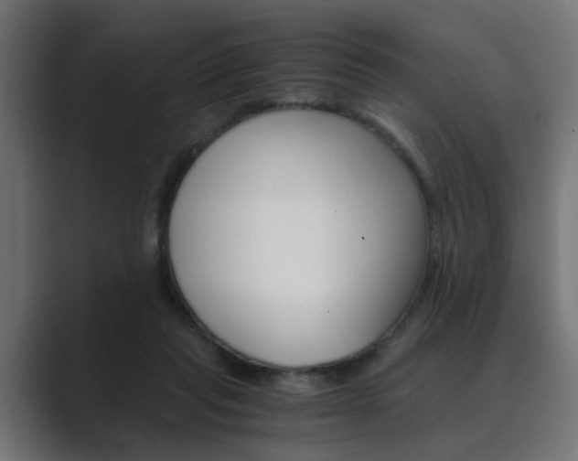 X0000089970261200706291110