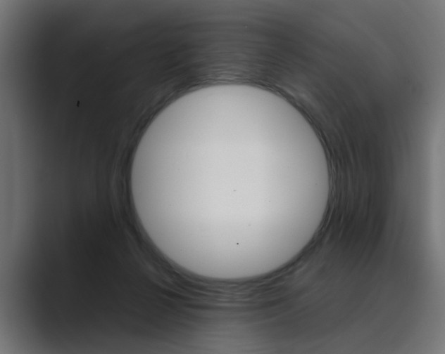 X0000089970264200706291110
