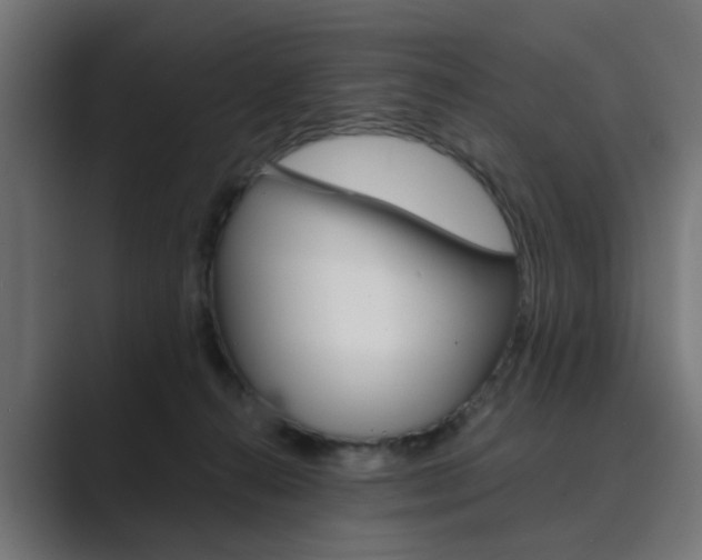 X0000089970272200706291110
