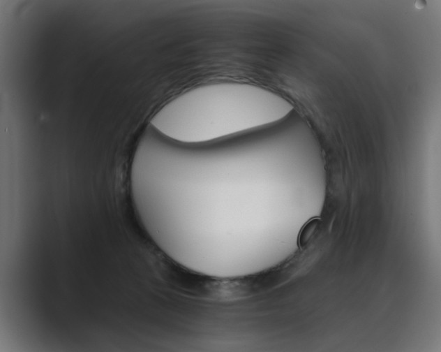 X0000089970273200706291110