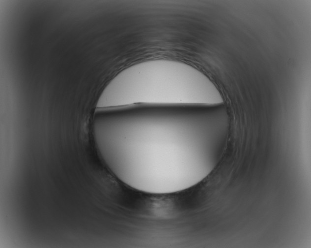 X0000089970275200706291110
